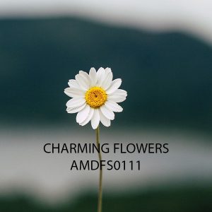 اسانس خوشبو کننده چارمینگ فلاور ( Charming Flowers )