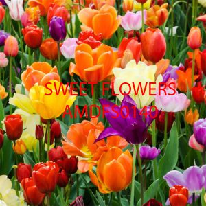 اسانس خوشبو کننده گل های شیرین ( Sweet Flowers )