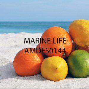 اسانس خوشبو کننده دریایی ( Marine Life )