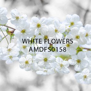 اسانس خوشبو کننده گل های سفید ( White Flowers )