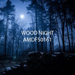 اسانس خوشبو کننده وود نایت ( Wood Night )